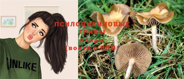 Альфа ПВП Лихославль