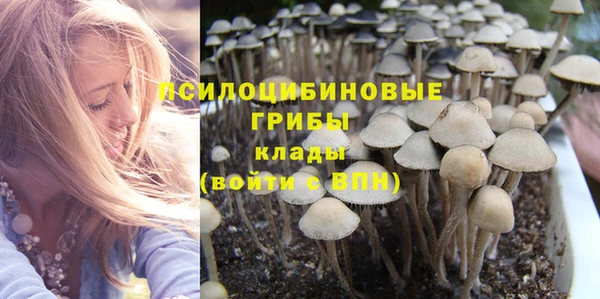 гидра Алагир
