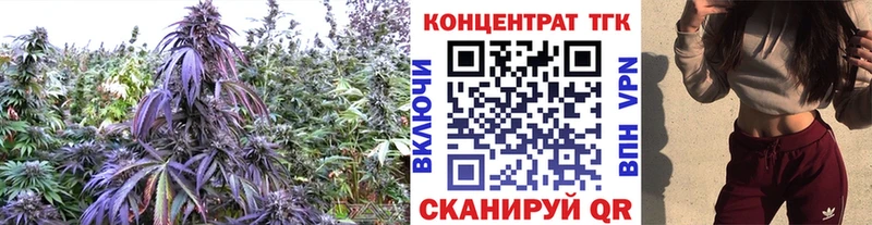 Дистиллят ТГК вейп с тгк  hydra вход  Почеп 