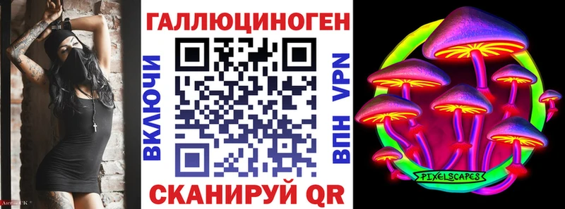 Галлюциногенные грибы Psilocybine cubensis  Почеп 